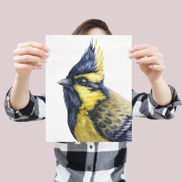 Watercolor Wall Art Himalayan Tit Bird Print Poster Unframed - Picture 6 of 9